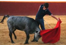 Emilio Silvera junior en el campo.