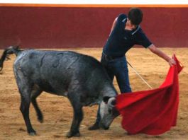 Emilio Silvera junior en el campo.