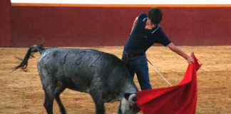 Emilio Silvera junior en el campo.