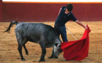 Emilio Silvera junior en el campo.