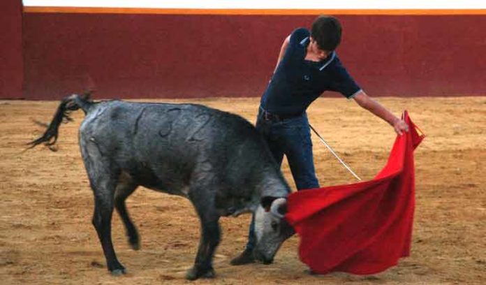 Emilio Silvera junior en el campo.