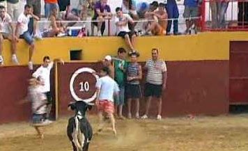 Suelta de vacas en la plaza de Arroyomolinos de León.