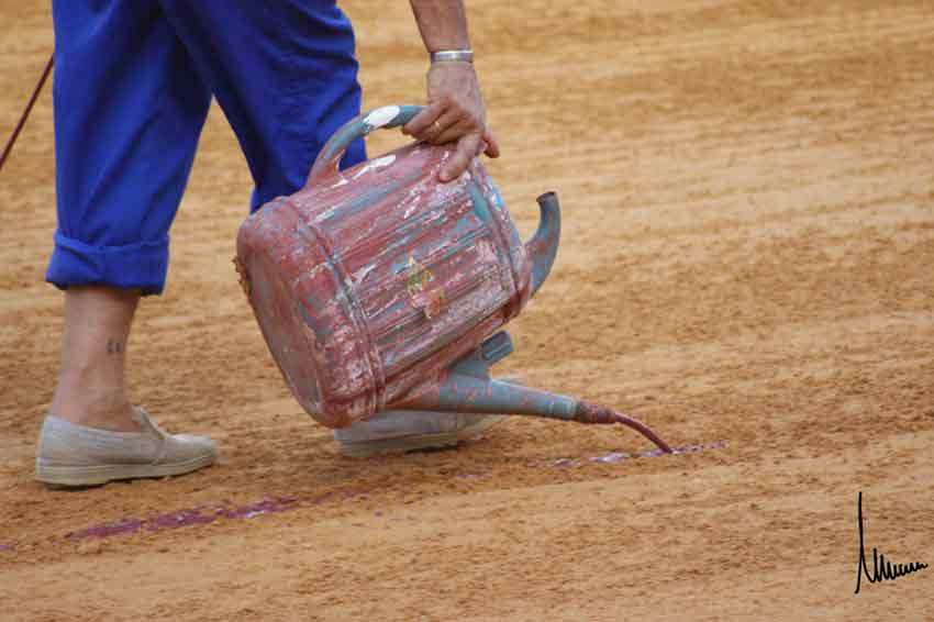 Las rayas del tercio.