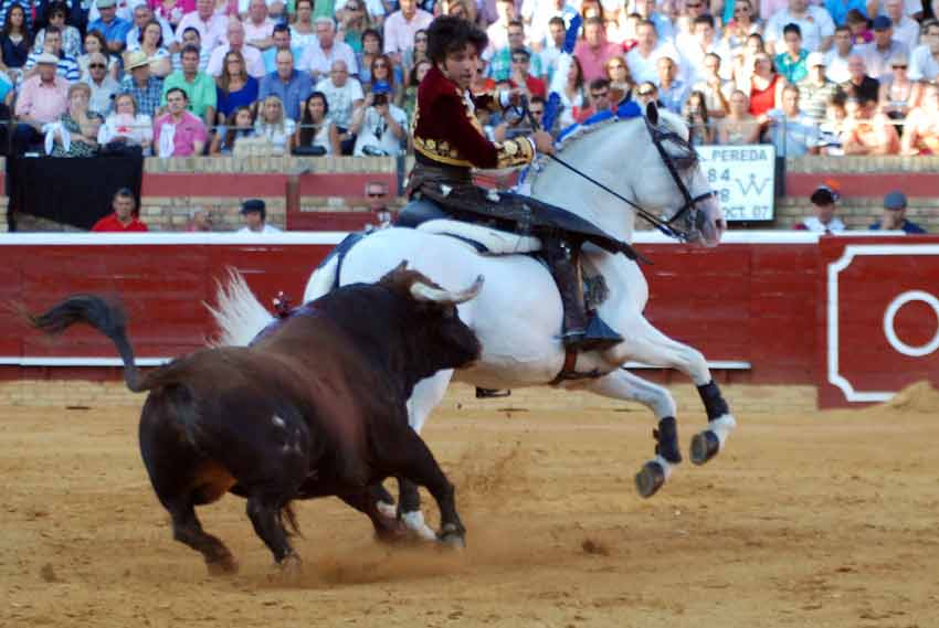 El caballo 'Galán' trastabilla.