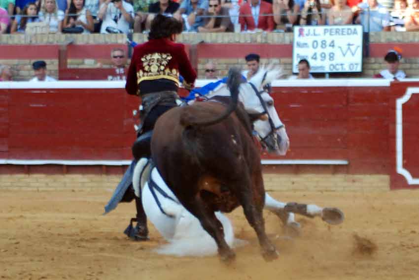 El toro de Pereda le sigue.