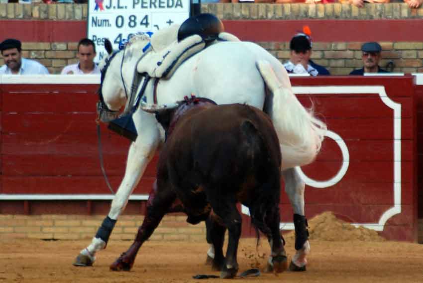 Hubo suerte y la cornada no es grave.