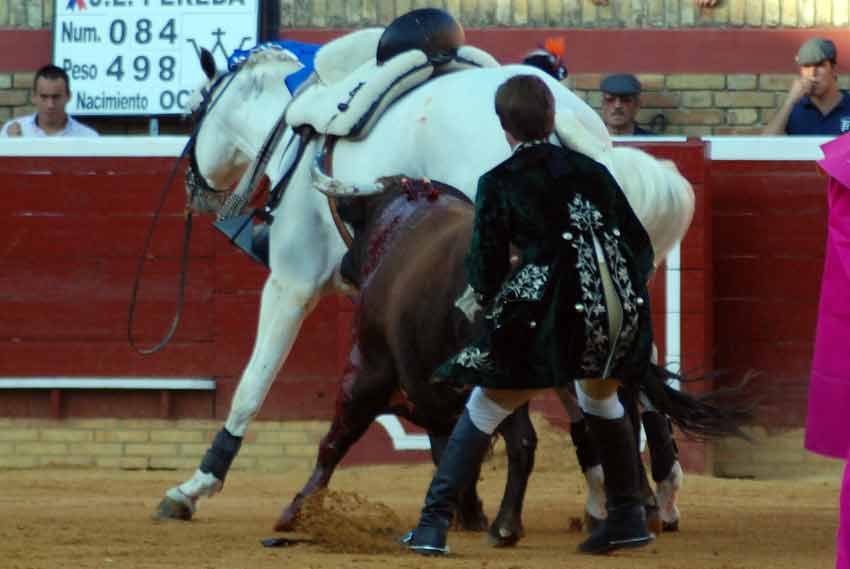 Todos acudieron rápido al quite del caballo.