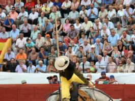 El sexto, 'Arito', de Guardiola, en una vibrante pelea en varas. (FOTO: André Viard/Terres Taurines)