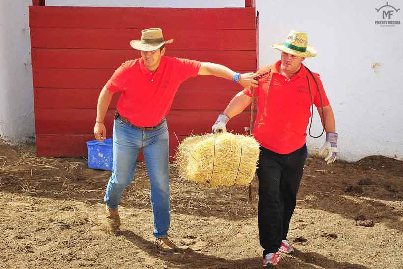 Nono y su equipo de operarios de corrales y chiqueros.