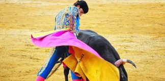 Excelente media verónica del sevillano Rafa Serna. (FOTO: Vicente Medero)