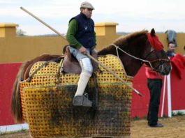 El nuevo picador onubense Rafael Carbonell.