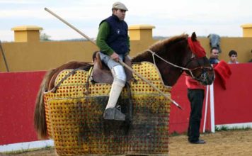 Nuevo picador para Huelva El nuevo picador onubense Rafael Carbonell.