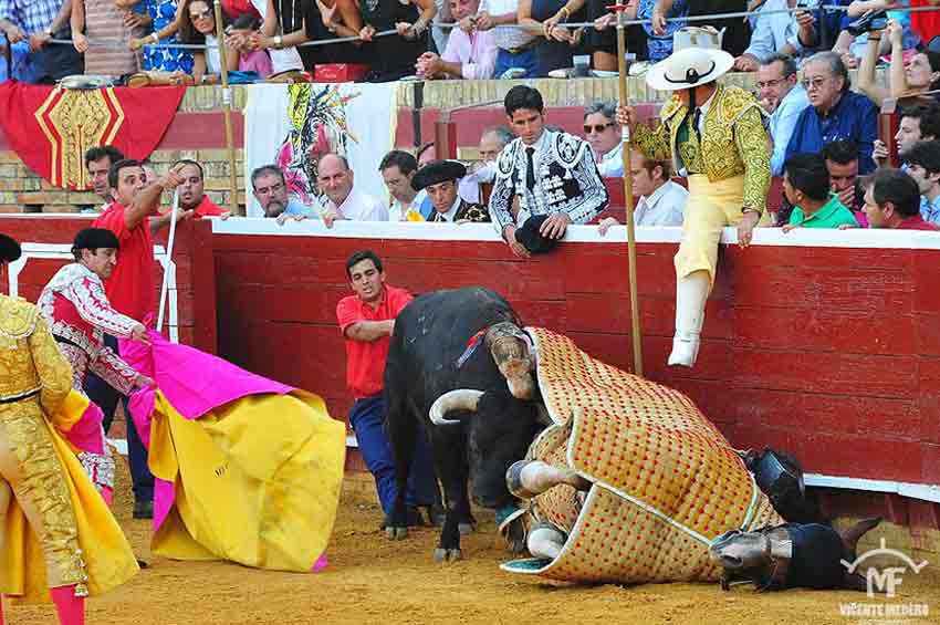 Cornadita a un caballo.