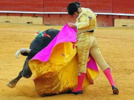 Premiado este toreo de capote de Morante. (FOTO: Vicente Medero)