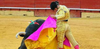 Premiado este toreo de capote de Morante. (FOTO: Vicente Medero)