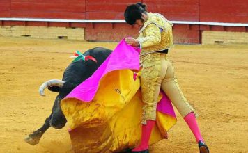 Premiado este toreo de capote de Morante. (FOTO: Vicente Medero)