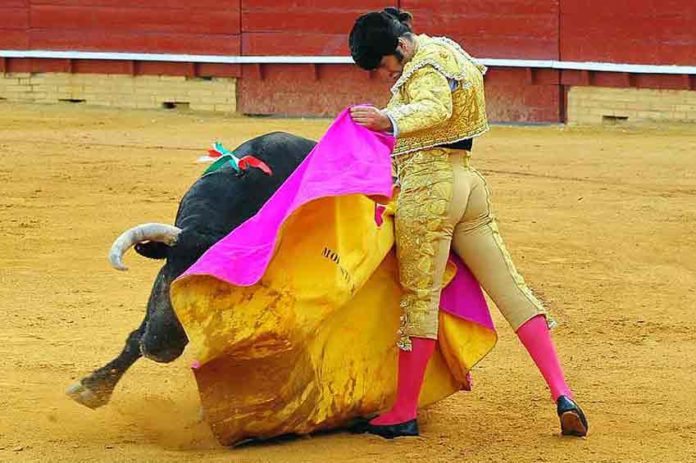 Premiado este toreo de capote de Morante. (FOTO: Vicente Medero)