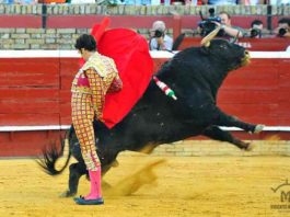 Manoletinas de José Tomás. (FOTO: Vicente Medero)