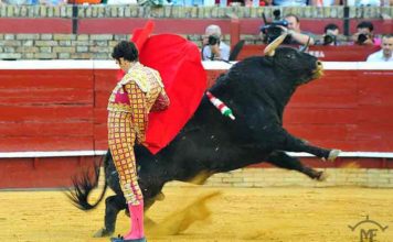 Manoletinas de José Tomás. (FOTO: Vicente Medero)