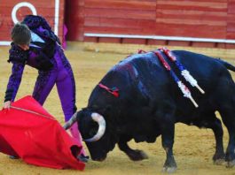 El Juli gana los premios de la Peña ‘Tendido 12’ Muletazo de El Juli en La Merced el pasado sábado. (FOTO: Vicente Medero)