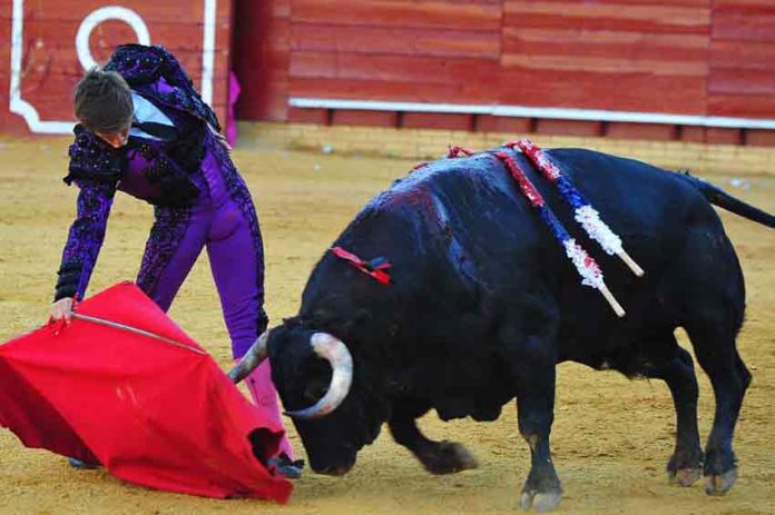 Muletazo de El Juli en La Merced el pasado sábado. (FOTO: Vicente Medero)