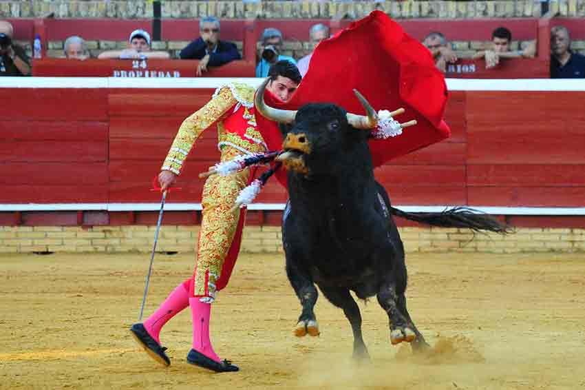 Alejandro Talavante.