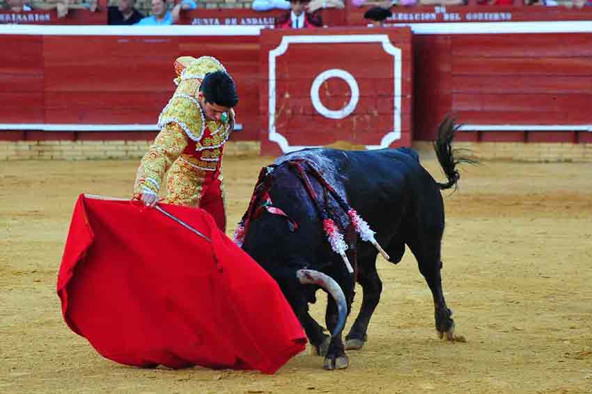 Alejandro Talavante.