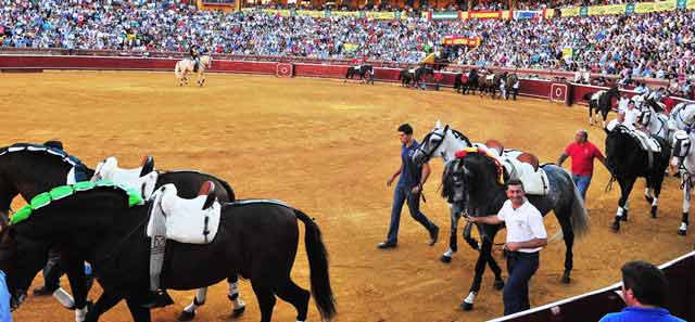 Exhibiendo los 20 caballos de la cuadra.