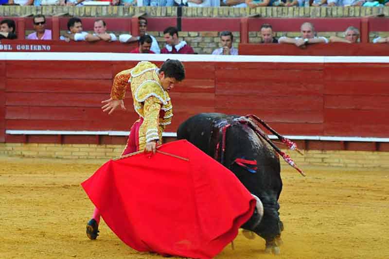 Daniel Luque.