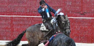 Andrés Romero rejoneando esta tarde bajo la lluvia en Cascante (Navarra).