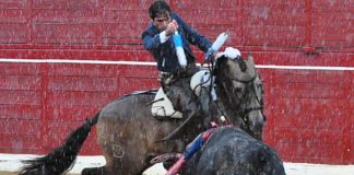 Andrés Romero rejoneando esta tarde bajo la lluvia en Cascante (Navarra).