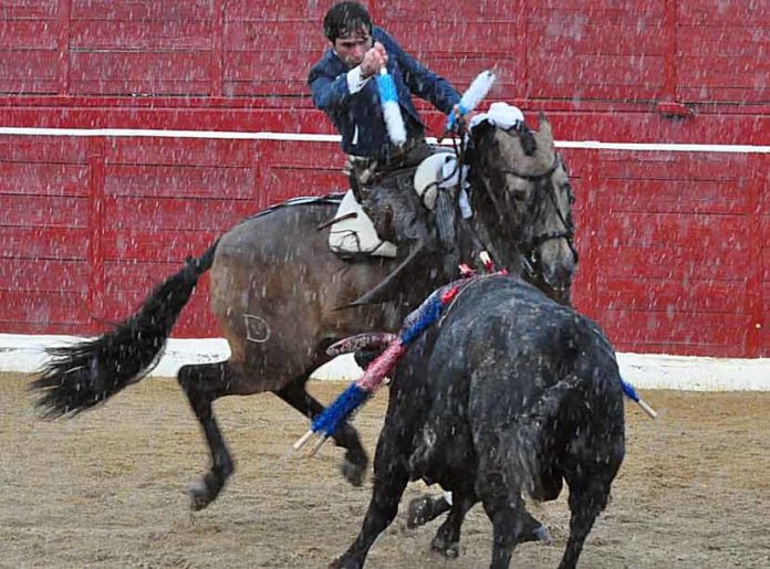 Andrés Romero rejoneando esta tarde bajo la lluvia en Cascante (Navarra).