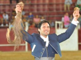 Triunfo doble en la misma jornada de Andrés Romero Andrés Romero con las dos orejas y el rabo de uno de sus dos astados esta noche en Monterrubio de la Serena (Badajoz).
