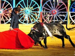 Juan Ramón Jiménez esta tarde en La Algaba. (FOTO: Vicente Medero)