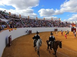Experiencia y juventud en Zalamea la Real La bonita plaza de Zalamea la Real.