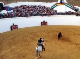 Aspecto de los tendidos de Zufre esta tarde durante la actuación de Andrés Romero.