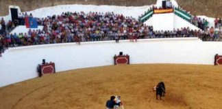 Aspecto de los tendidos de Zufre esta tarde durante la actuación de Andrés Romero.