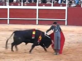 David de Miranda en un pase cambiado por la espalda esta tarde en Trigueros. (IMAGEN: mundotoro.com)
