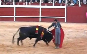 David de Miranda en un pase cambiado por la espalda esta tarde en Trigueros. (IMAGEN: mundotoro.com)