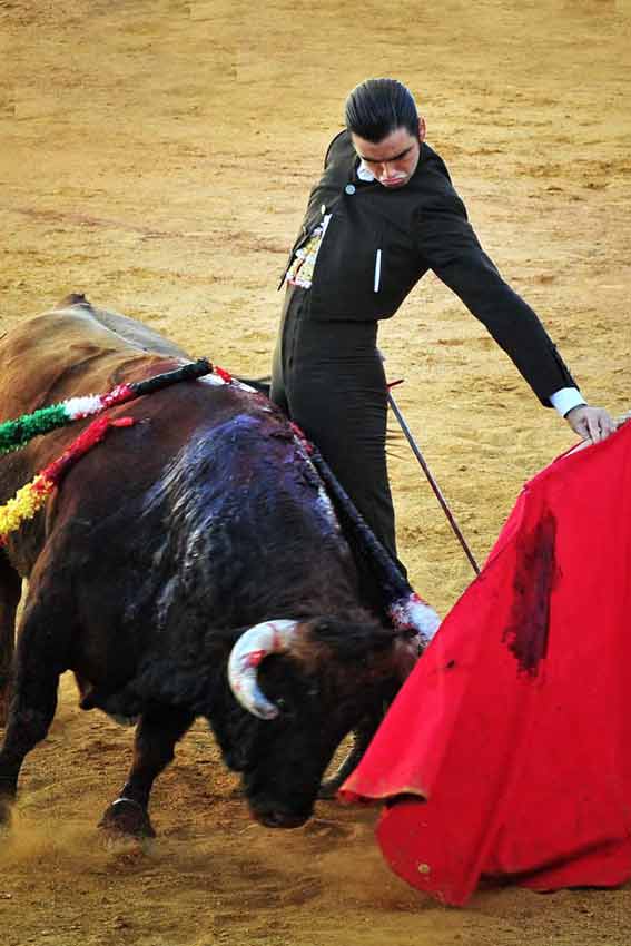 José Luis Torres, que ha cortado un rabo, ha sido el triunfador del festival benéfico. (FOTO: Vicente Medero)