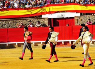 Un total de 22 paseíllos es el balance de la temporada 2012 en Huelva. (FOTO: Vicente Medero)