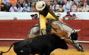 Alonso Sánchez picando al toro 'Arito', de Guardiola. (FOTO: Vicente Medero)