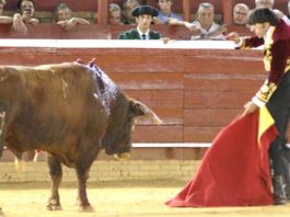 Ventura entra a matar a estoque al sexto sin usar previamente el rejón de muerte. (FOTO: Pérez Marín)