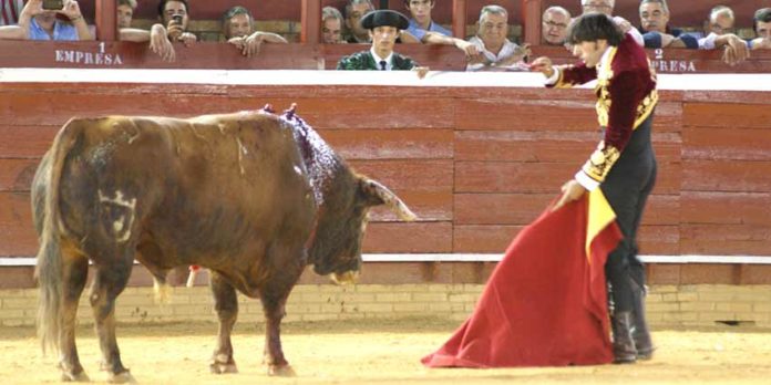 Ventura entra a matar a estoque al sexto sin usar previamente el rejón de muerte. (FOTO: Pérez Marín)