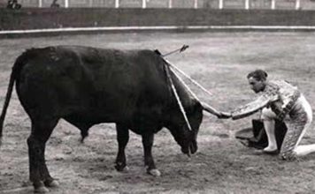 El diestro sevillano Joselito 'El Gallo'.