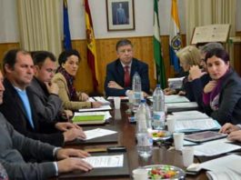 Pleno del Ayuntamiento de Palos. (FOTO: huelvaya.es)