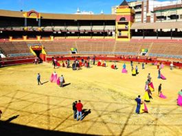 Intensa actividad en la primera jornada de toreo para aficionadoa en La Merced. (FOTO: Vicente Medero)