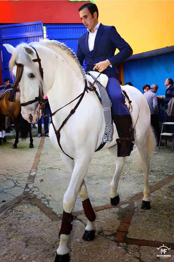 Tentadero en La Merced.