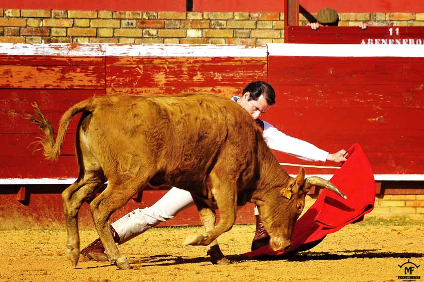 Tentadero en La Merced.