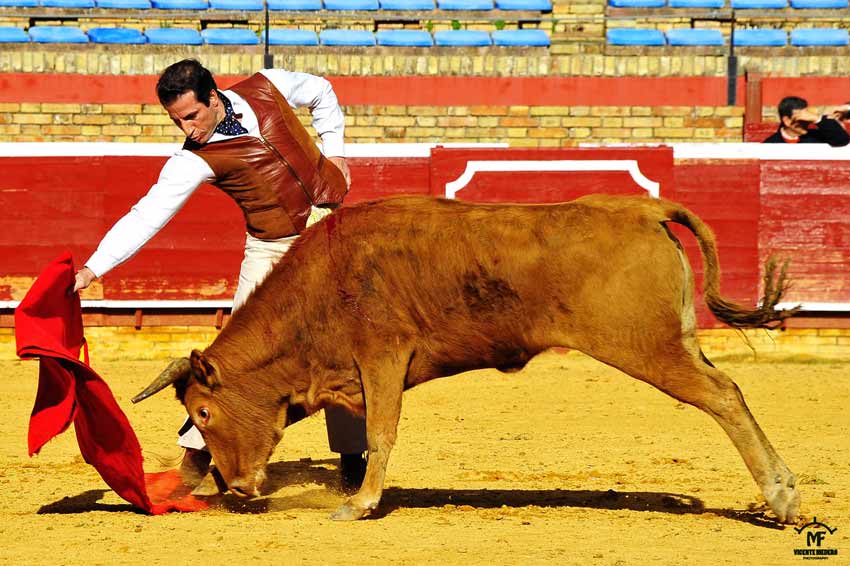 Tentadero en La Merced.